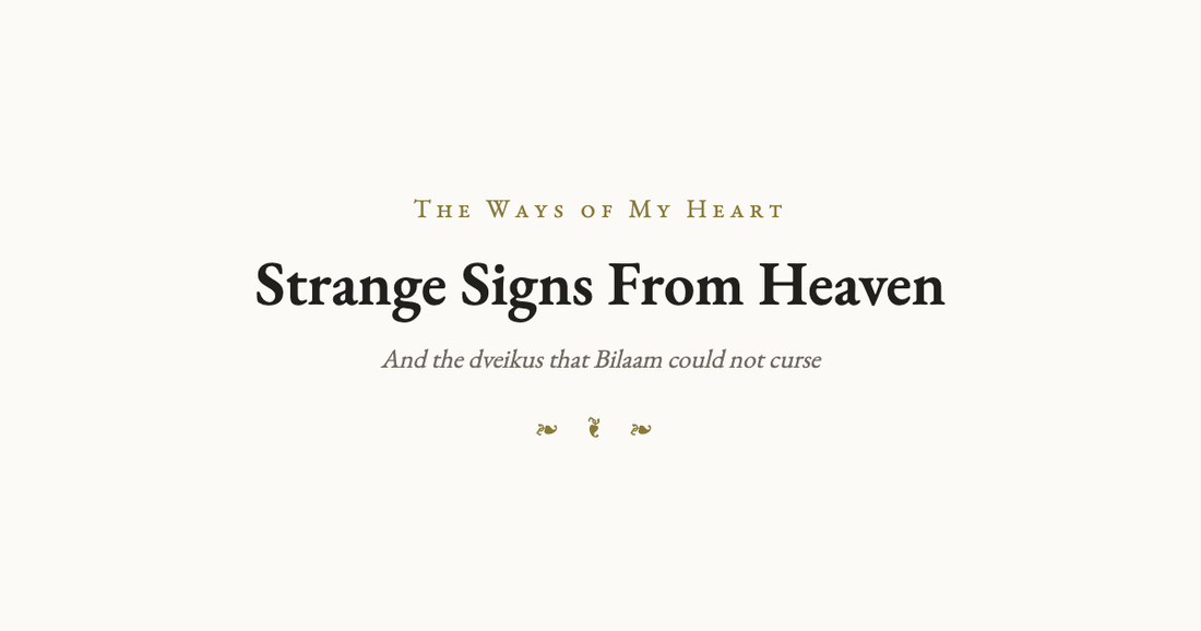 Strange Signs From Heaven